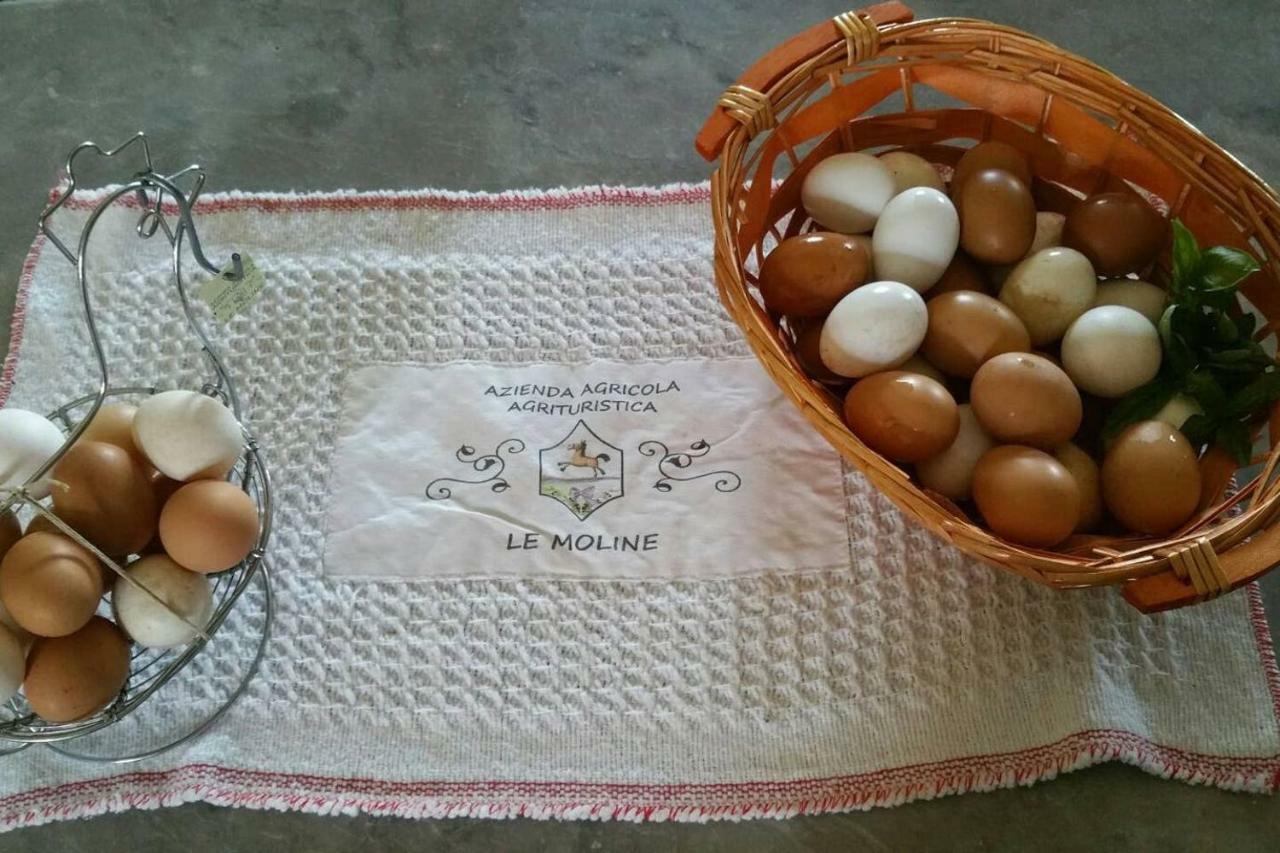 Piccolo Casale A "Le Moline" In Una Vera Fattoria Vetralla Exterior foto